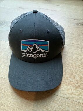 Gray Patagonia Trucker Hat - never worn